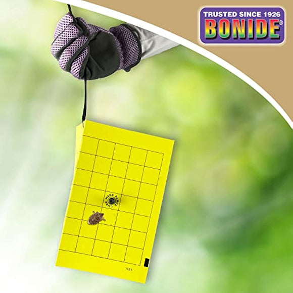 Bonide (BND198) - Bug Beater Indoor/Outdoor Stink Bug Trap