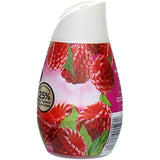 Renuzit 03667 7 Oz Raspberry Adjustable Aroma Cone Air Freshener