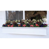 Espoma Organic Bloom! 16-Ounce Concentrated Plant Food – Plant Fertilizer and Bloom Booster for All Flowering Plants. Promotes Vigorous Growth and Blooming