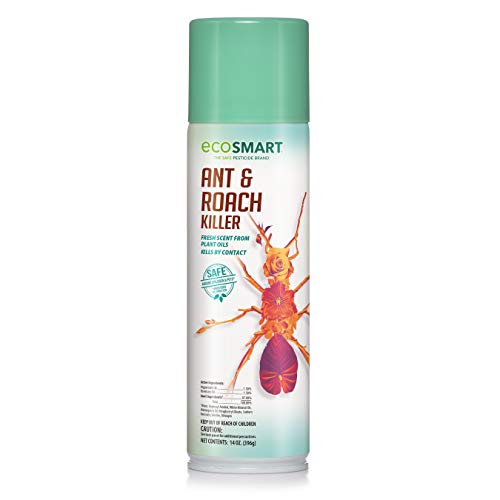 EcoSMART Ant and Roach Killer, 14 oz. Aerosol Spray Can