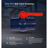 Midline Valve PVC Ball Valve with Pink T-Handle for Potable Water Use 3'' FIP Grey Plastic (492U300)