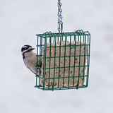 C&S 100214386 EZ Fill Suet Basket, 8 Ounces, Green