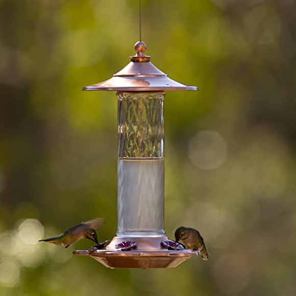More Birds Glory Hummingbird Feeder, Glass Hummingbird Feeders for Outdoors, 5 Feeding Stations, 13 Ounces