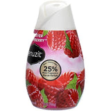 Renuzit 03667 7 Oz Raspberry Adjustable Aroma Cone Air Freshener