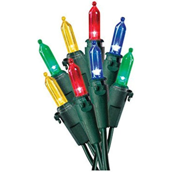 Celebrations Net Light Set Multi-Colored Bulbs Led 4' X 6' Indoor/Outdoor Use