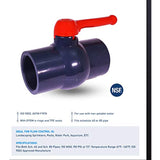 Midline Valve PVC Ball Valve with Pink T-Handle for Potable Water Use 3'' FIP Grey Plastic (492U300)