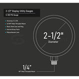 Raven PG100 R1554 2-1/2 Display Dry Gauges Steel Case, 1/4 inch Npt Center Back Connection, Circular Dial, Polycarbonate Crystal, Black Anodized Aluminum Pointer, Quality and Durability