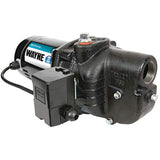 Wayne SWS50, 56907-WYN2, 1/2 HP Shallow Well Jet Pump, Black
