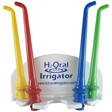 H2oral Irrigator Floss Do You Hate to Floss? are You not Wanting to Spend A Fortune On A Water Flosser