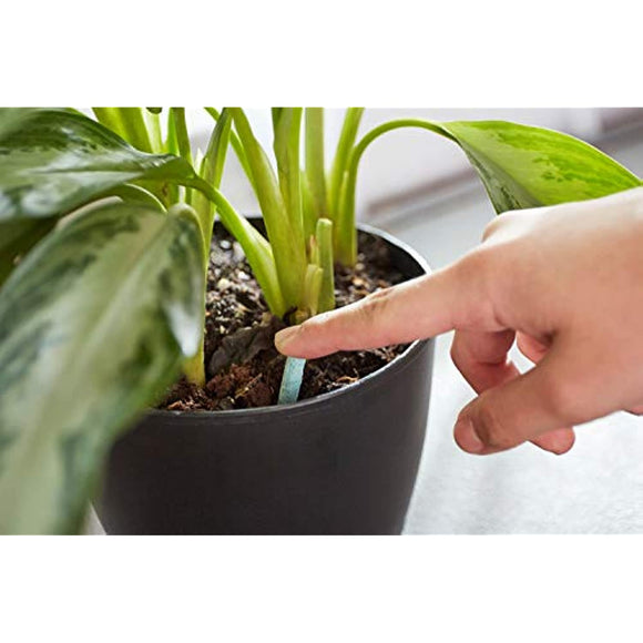Miracle-Gro Indoor Plant Food Spikes, Includes 24 Spikes - Continuous Feeding for all Flowering and Foliage Houseplants - NPK 6-12-6