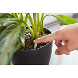 Miracle-Gro Indoor Plant Food Spikes, Includes 24 Spikes - Continuous Feeding for all Flowering and Foliage Houseplants - NPK 6-12-6