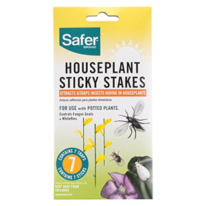 Safer Brand 5026 Houseplant Sticky Stake Insect Traps for Indoor Plants -