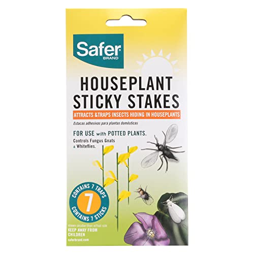 Safer Brand 5026 Houseplant Sticky Stake Insect Traps for Indoor Plants -