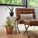 Bloem 20-56106 Fiskars Ariana with Self-Watering Grid, 6", Terra Cotta