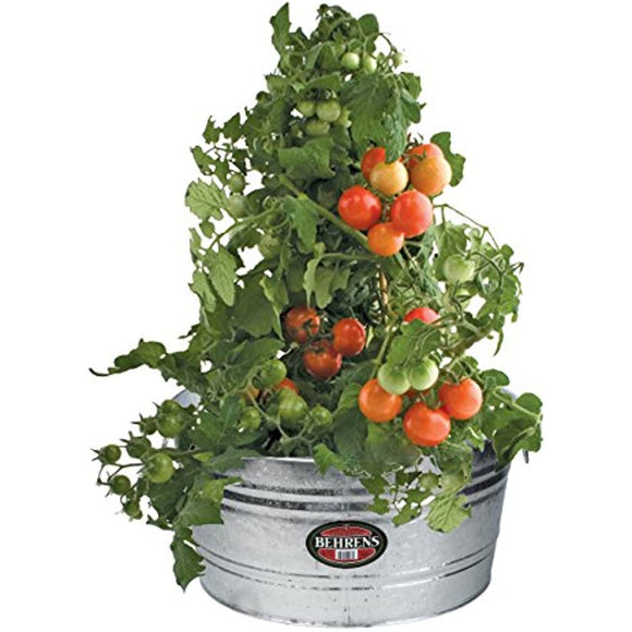 Behrens 1, 11-Gallon Round Steel Tub