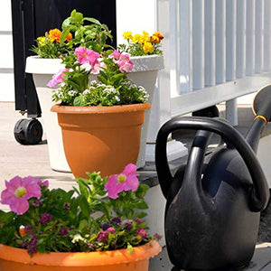 Bloem 20-56106 Fiskars Ariana with Self-Watering Grid, 6", Terra Cotta