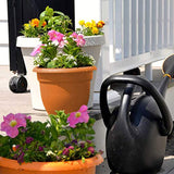 Bloem 20-56106 Fiskars Ariana with Self-Watering Grid, 6", Terra Cotta