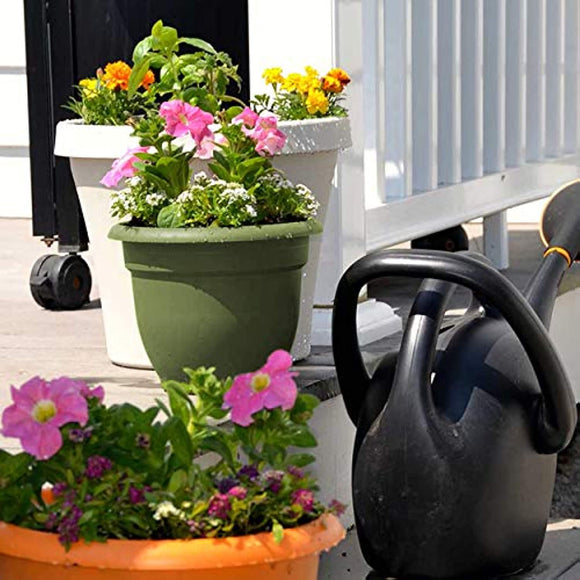 Bloem 20-56416 Planter, 16