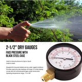 Raven PG100 R1554 2-1/2 Display Dry Gauges Steel Case, 1/4 inch Npt Center Back Connection, Circular Dial, Polycarbonate Crystal, Black Anodized Aluminum Pointer, Quality and Durability