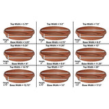 Bloem Terratray 1.5 in. H Resin Traditional Thyme Green Tray