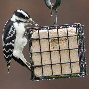 More Birds Suet Cage Bird Feeder, Fruit and Suet Feeder, Single Cake Capacity
