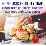 TERRO T2502 Ready-to-Use Indoor Fruit Fly Killer and Trap with Built in Window - 2 Traps + 90 day Lure Supply