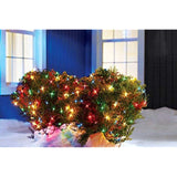 Celebration 150 Indoor/Outdoor Net-Style Lights, Multi-Color