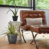 Bloem AP16908 Ariana Self Watering Planter 16", Charcoal Gray