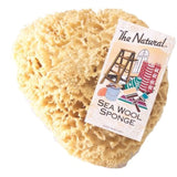 The Natural Sea Sponge, 7 to 8-Inch, Wool