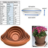 Bloem Terra Plant Saucer Tray for Planters 9-12" Living Green