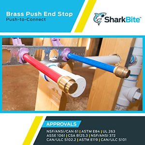 SharkBite 1/2 Inch Push Cap, Pack of 4, Push to Connect Brass Plumbing Fitting, PEX Pipe, Copper, CPVC, PE-RT, HDPE, U514LFA4