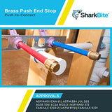 SharkBite 1/2 Inch Push Cap, Pack of 4, Push to Connect Brass Plumbing Fitting, PEX Pipe, Copper, CPVC, PE-RT, HDPE, U514LFA4