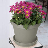 Bloem Terra Pot Planter (TR1283), Pebble Stone, 12"