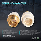 Supply Giant CSDQN034 Male x PVC Adapter Transition Pipe Fitting Durable Over Molded One-Piece Design 1/2 in. Lead Free Brass