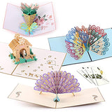 Handmade 3D Pop Up Cards - Peacocks Set - Handmade Pop Up Greeting Card for Your Loved Ones, Wedding Anniversary Card for Couple, Valentine Day, Happy Birthday Cards
