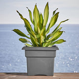 Bloem Veranda Deck Box Planter Square (VER14908), Charcoal Gray, 14"