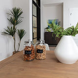 2 1-Gallon Glass Jars with Stainless Steel Airtight Lids + Marker & Labels, Cookie Jar & Candy Jar for Buffet, Coffee & Flour Canister Sets for Kitchen Counter, Laundry Room Storage & Pantry
