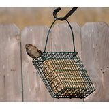 C&S CS749 EZ Fill Seed Cake Snak TM Feeder, 1 Ounces, Green