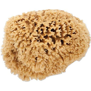 The Natural Sea Sponge, 7 to 8-Inch, Wool