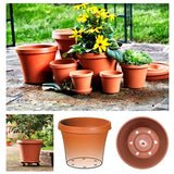 Bloem Terrapot 5.5 in. H x 6 in. Dia. Resin Traditional Terracotta Clay Planter