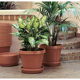 Bloem Terra Plant Saucer Tray for Planters 9-12" Living Green