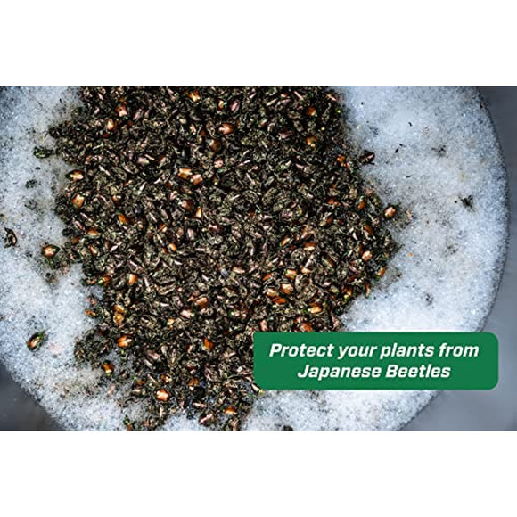 RESCUE! Japanese Beetle Trap – Reusable Bag