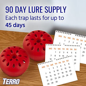 TERRO T2502 Ready-to-Use Indoor Fruit Fly Killer and Trap with Built in Window - 2 Traps + 90 day Lure Supply