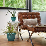 Bloem AP1026 Ariana Self Watering Planter 10", Bermuda Teal Green