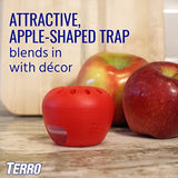 TERRO T2502 Ready-to-Use Indoor Fruit Fly Killer and Trap with Built in Window - 2 Traps + 90 day Lure Supply