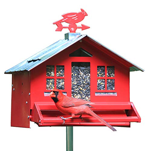 Perky-Pet 338 Squirrel-Be-Gone II Country House Bird Feeder with Weathervane, 8 lb, Red