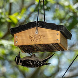 Nature's Way Bird Products CWF2 Cedar Suet Upside-Down Bird Feeder