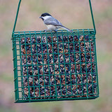 C&S CS749 EZ Fill Seed Cake Snak TM Feeder, 1 Ounces, Green