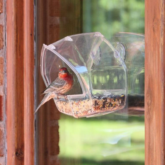 Perky-Pet Clear Birdscapes Window Feeder 348, 6.88W x 5.6D ins