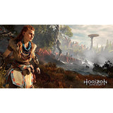 Horizon Zero Dawn - PlayStation 4